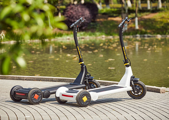 25km/H 30km 3 Wheel Stand Up Electric Vehicle