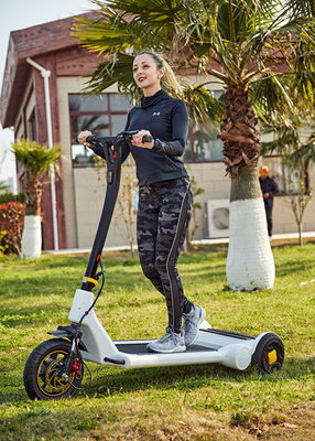 Foldable 30KG 25km/h Electric Balance Scooter
