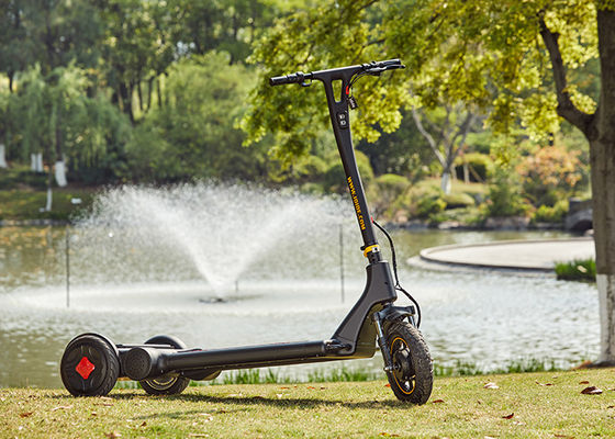 Three Wheel Loop Balance 36V  City Commuter Scooter