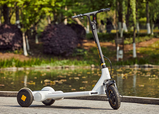 Airuide Hub Motor Self Balancing Electric Scooter