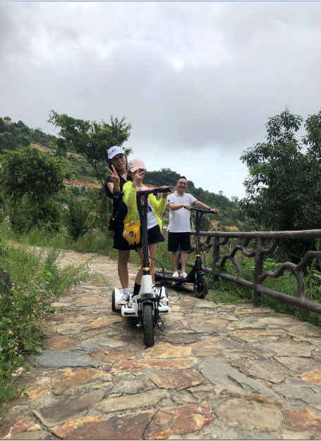 15.6'' 3 Wheels Battery Cool Power Electric Scooter