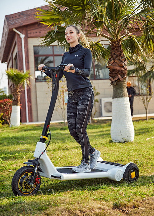 Foldable 30KG 25km/h Electric Balance Scooter